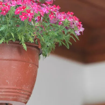 Hotel de apartamente Deger Akyaka (Mugla)